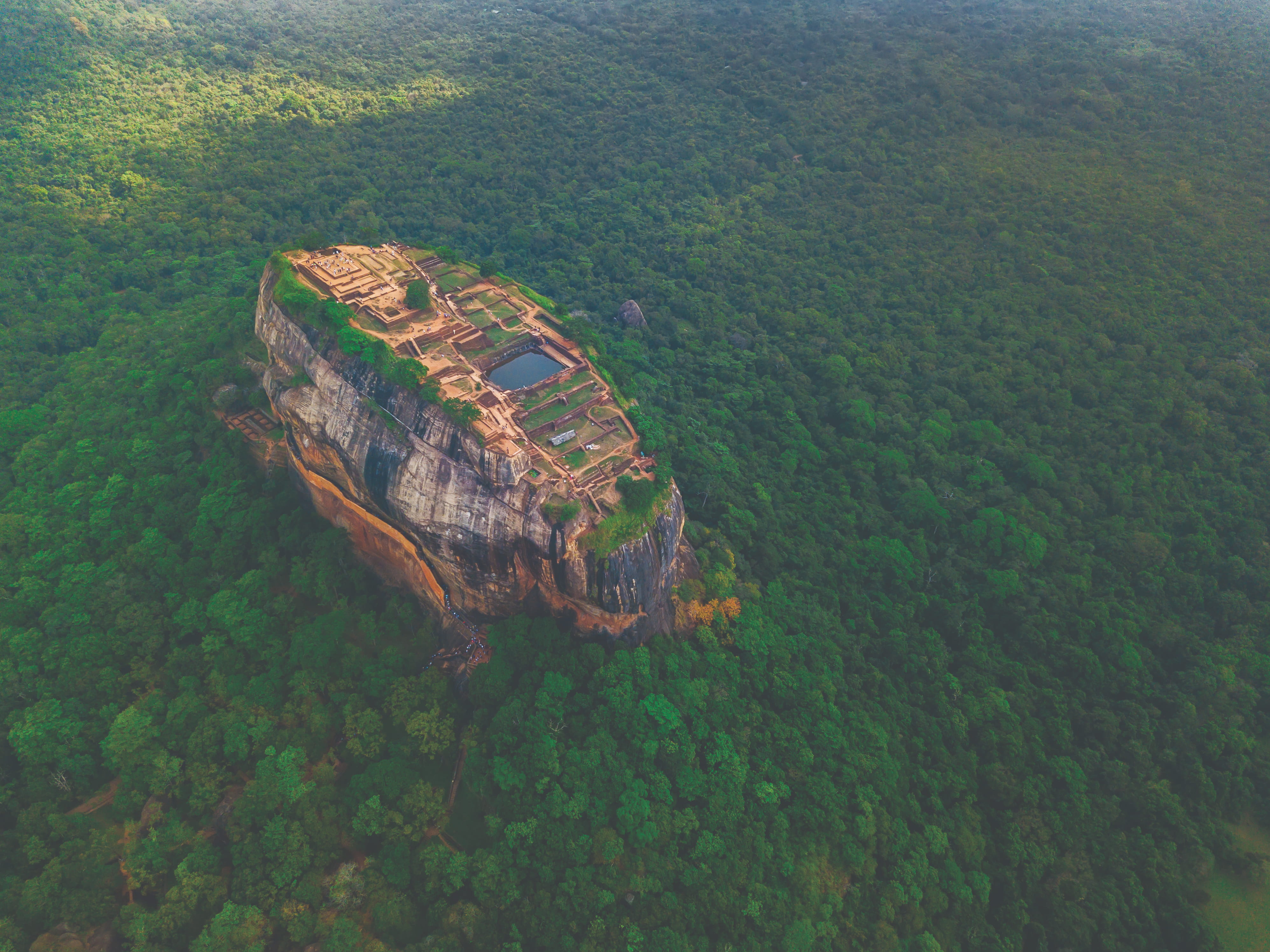 Sri Lankan Shades: A Journey of Discovery